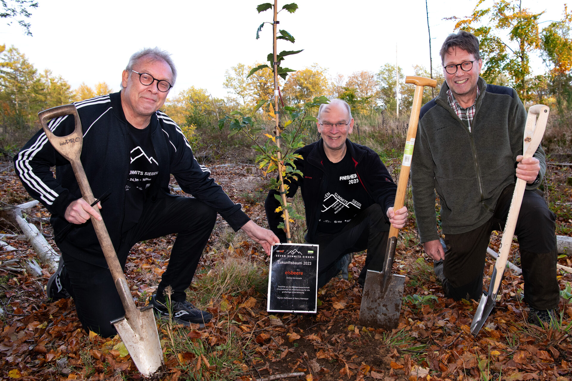 Dankeschön mit Zukunftsbaum und Spende